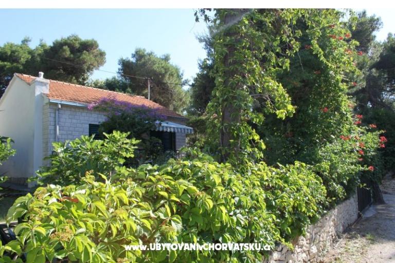 Villa Dragan – photo 3