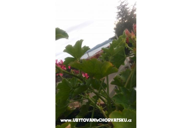 Apartments Ira – photo 11