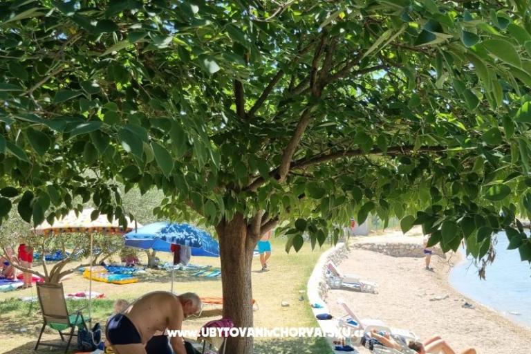 Apartments Ivan – photo 9