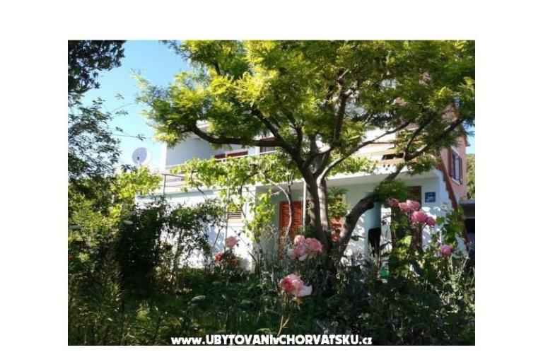 Apartmentt Anđelić – photo 2