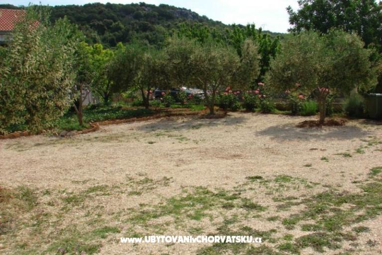 Apartmentt Anđelić – photo 5