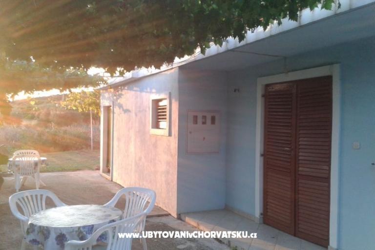 Apartmentt Anđelić – photo 6