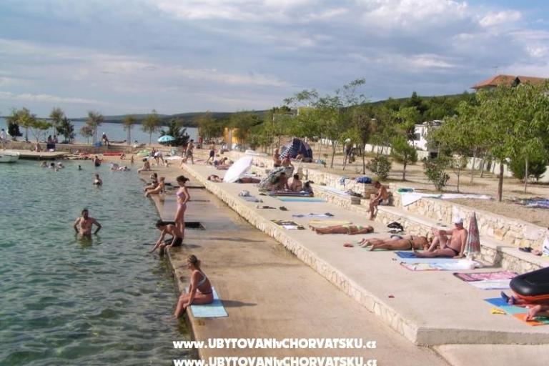 Apartmentt Anđelić – photo 9