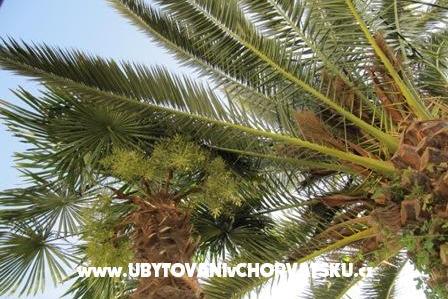 Apartment Antea – photo 17