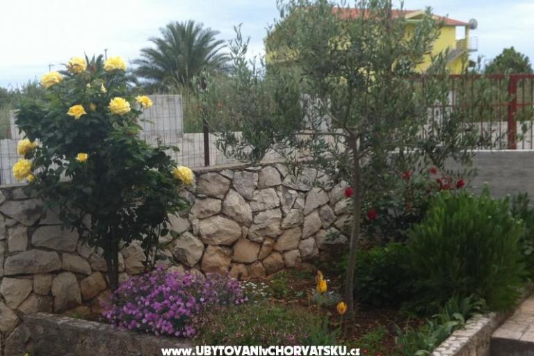 Apartment Kossi – photo 3