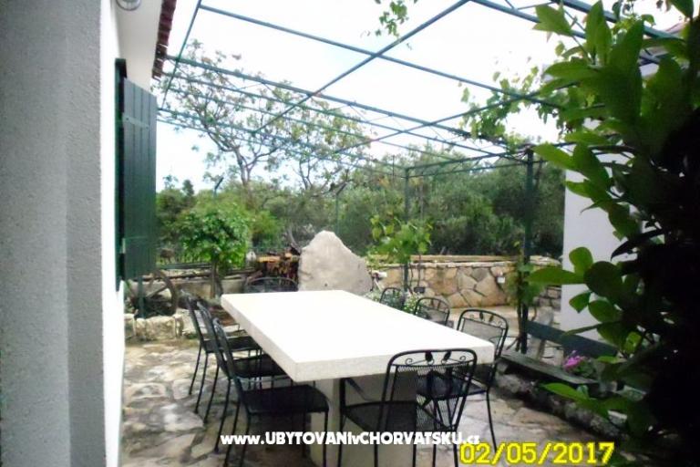 Apartment Tone – photo 6