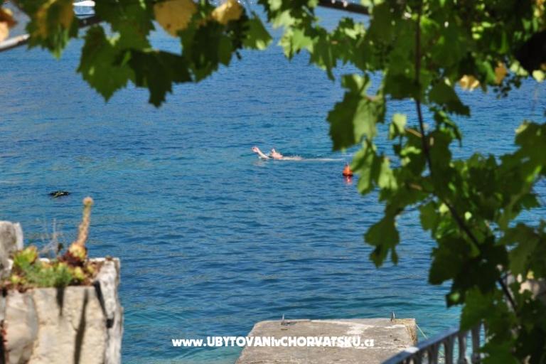 Apartment Zoranka on the beach – photo 5