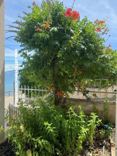 Apartments Adria – photo 20