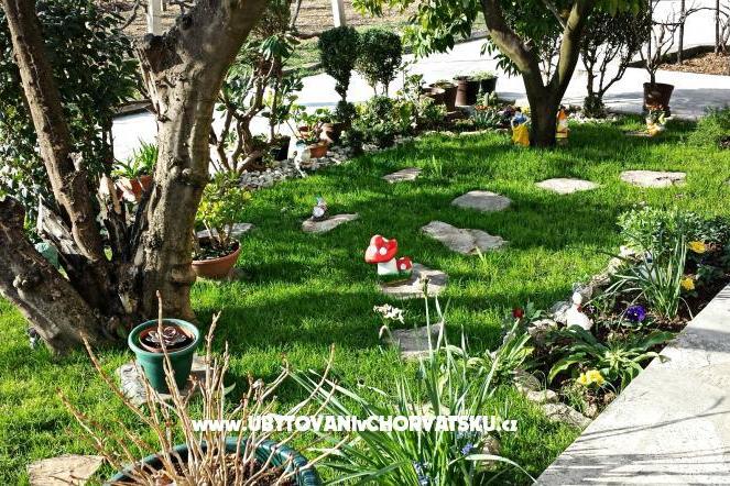 Apartments Anda – photo 7