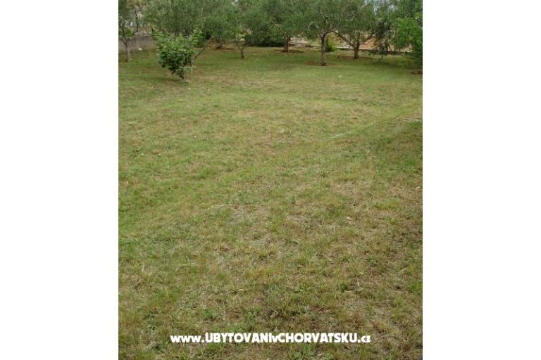 Apartments Anita – photo 5