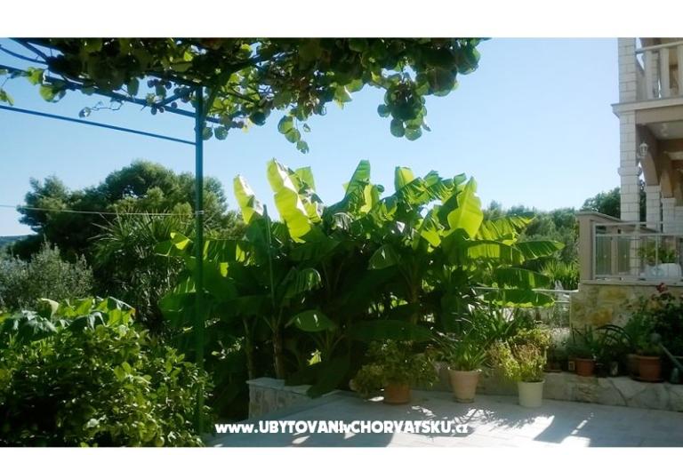 Apartments Anka Marin – photo 8