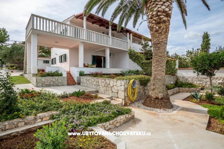 Apartments Antonia – photo 2