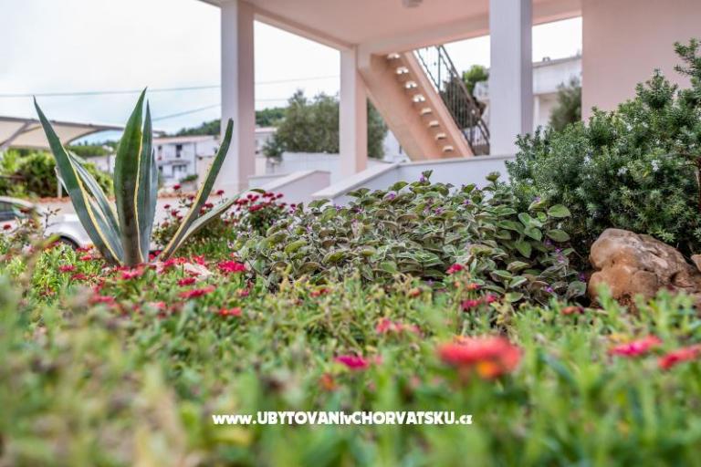 Apartments Antonia – photo 6