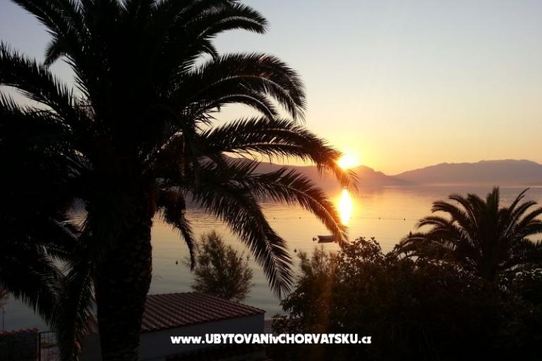 Apartments Antonia – photo 8