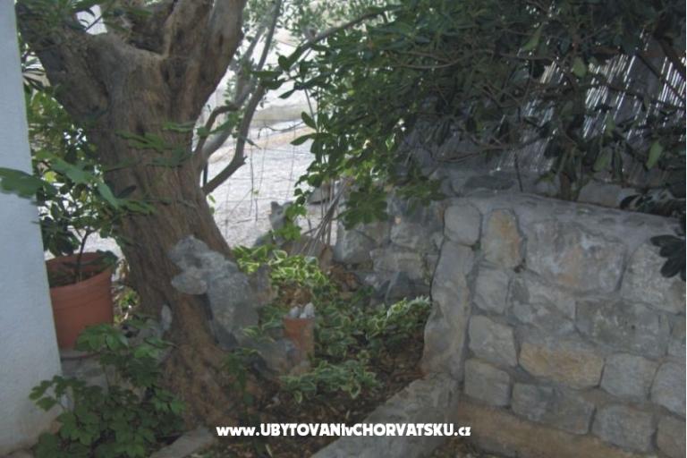 Apartments Boa  – photo 16