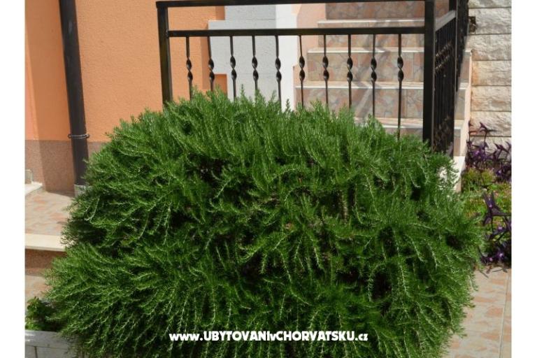 Apartments Brksi  – photo 14