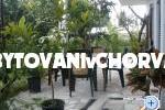 Apartments Gardijan – photo 8