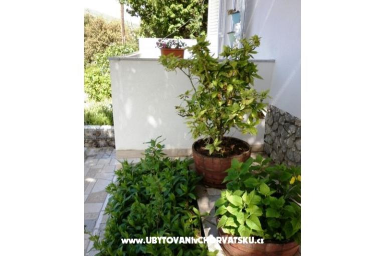 Apartments Mare – photo 7