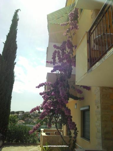 Apartments Mia – photo 8