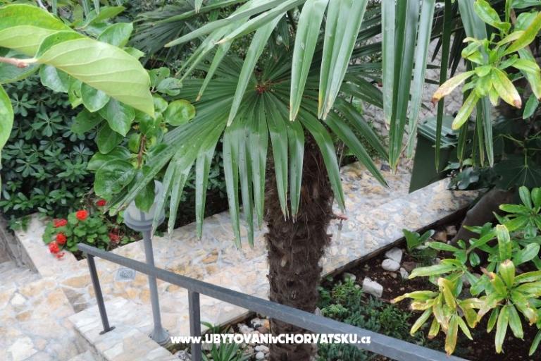 Apartments Natasa – photo 16