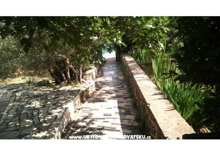 Apartments Jauca – photo 9