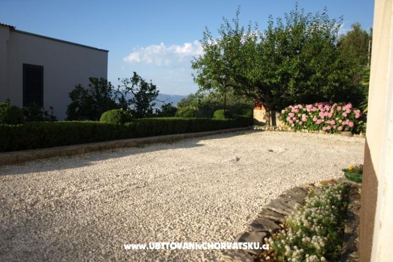 Apartments Ljilja – photo 14