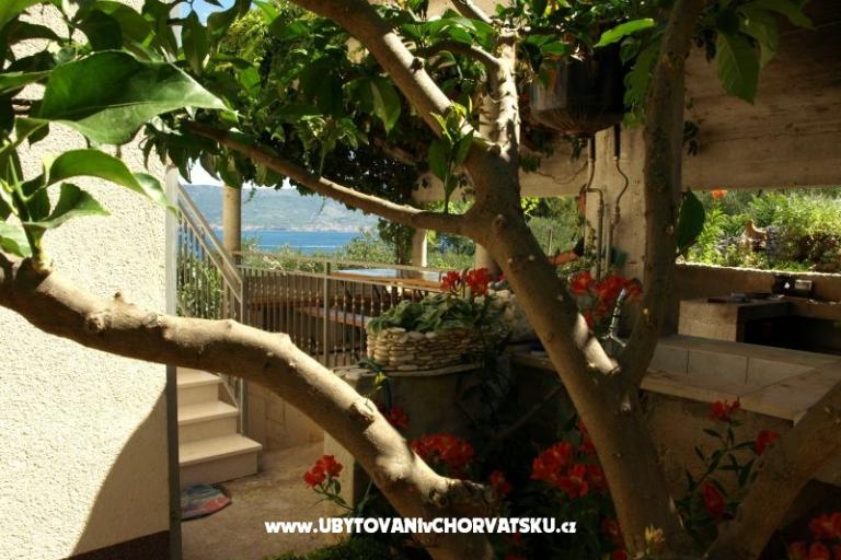 Apartments Ljilja – photo 9