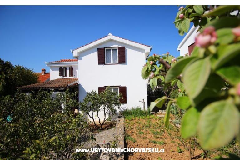 Apartments NIKA – photo 4