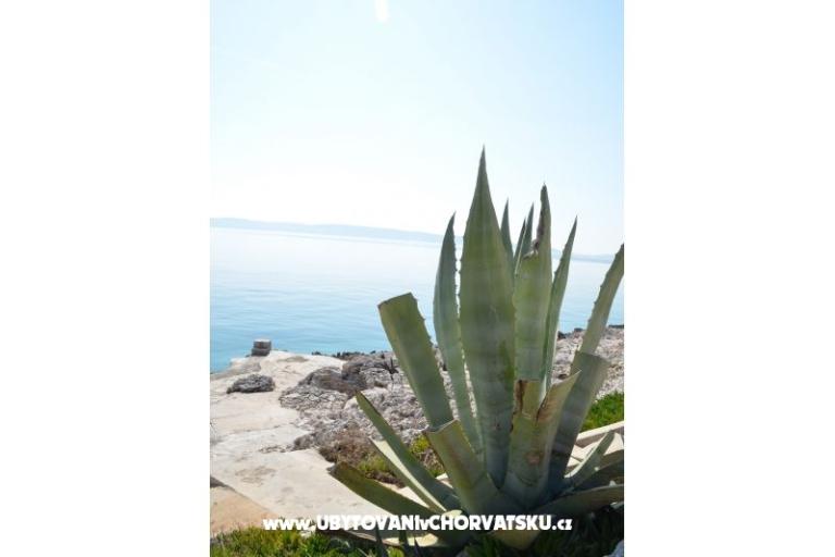 Apartments Petar Milat – photo 9