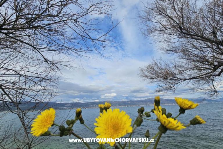 Apartments Tanja – photo 12