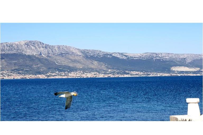 Apartments Tanja – photo 6