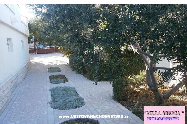 Apartments Villa Ankica – photo 10