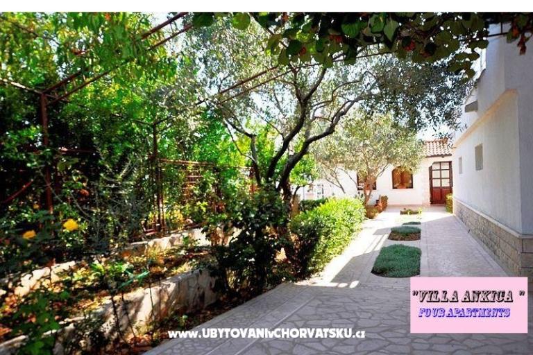 Apartments Villa Ankica – photo 6