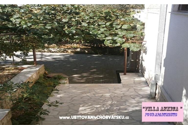 Apartments Villa Ankica – photo 7