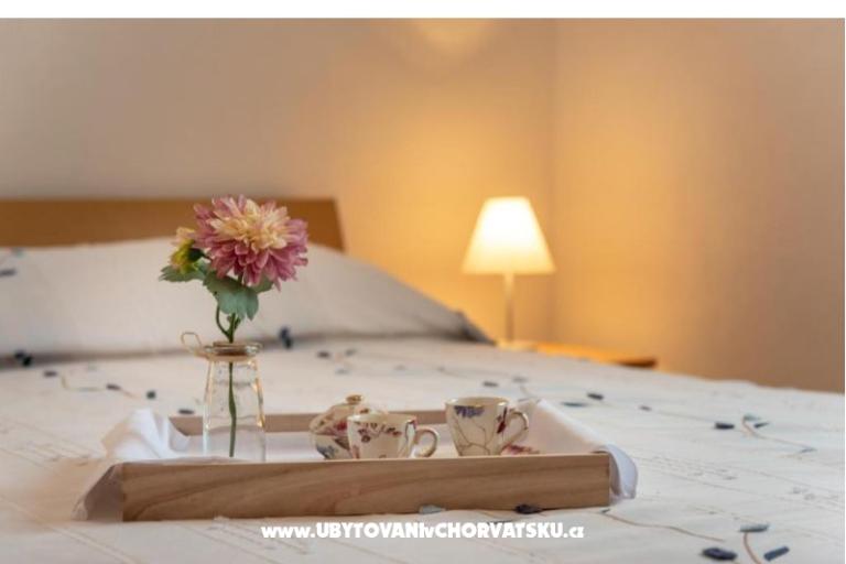 Apartments Villa Jelena – photo 4