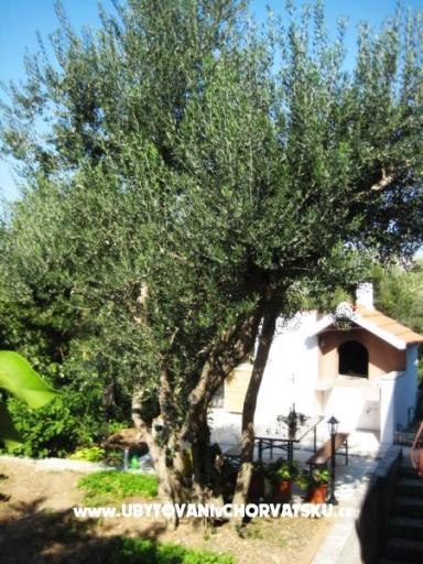 Apartments Vukovic – photo 13