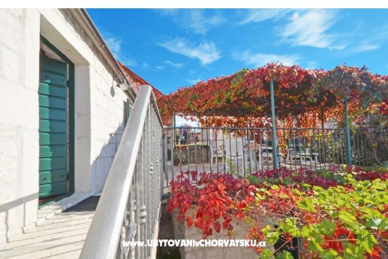 Apartmets Villa Maslina – photo 9