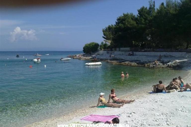 Apartment House Juretic – photo 5