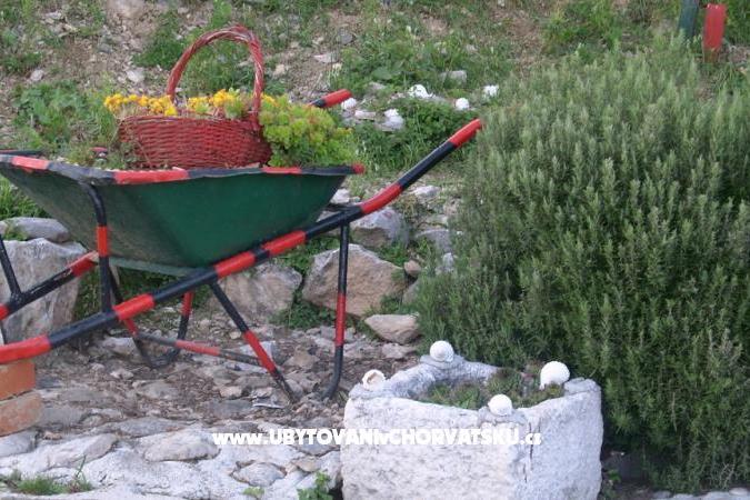 Carmen Apartments – photo 15