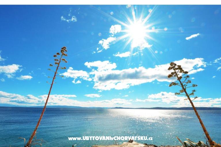 Flor di Mar – photo 22