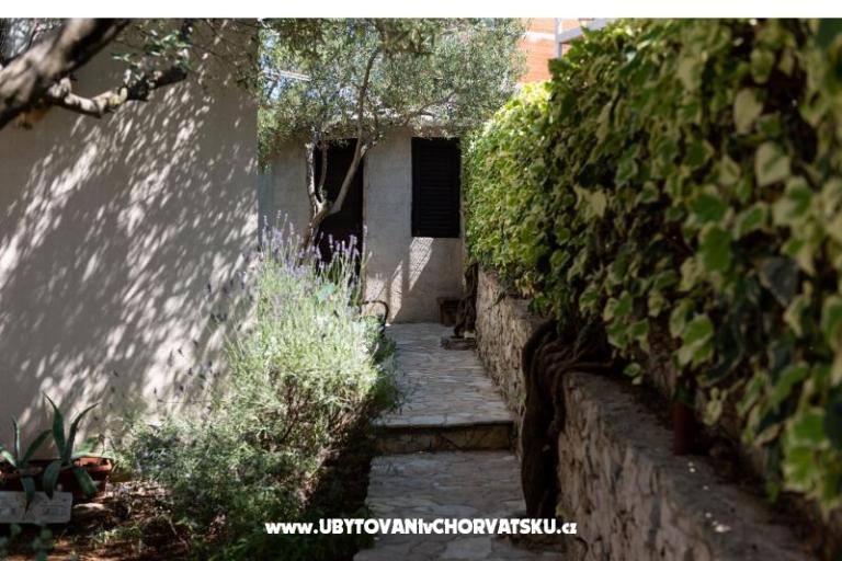 Apartments Gizdić – photo 4