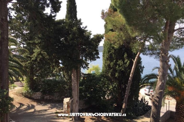 Island oasis – photo 2