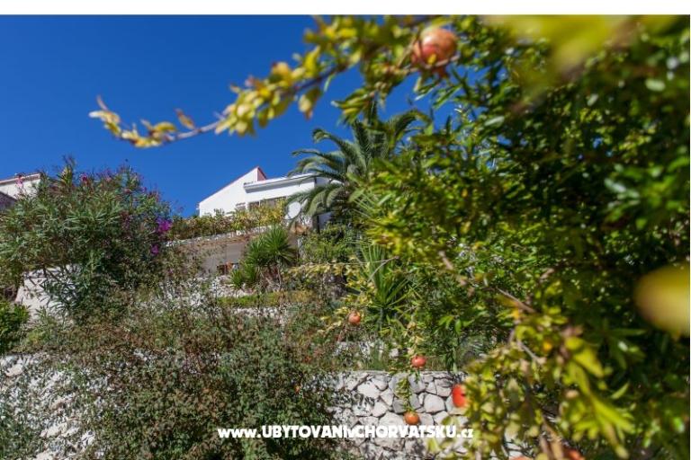 Vacation house Bok – photo 15