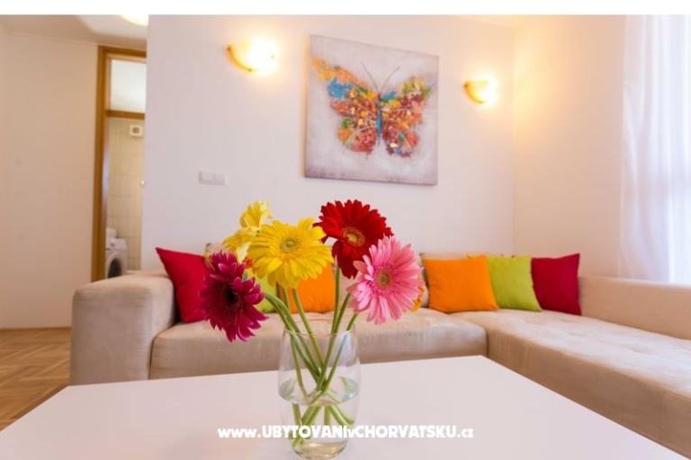 Luxury Apartment Leda  – photo 4