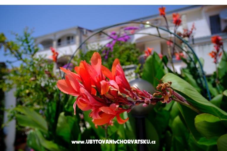 Pension Jeric – photo 14