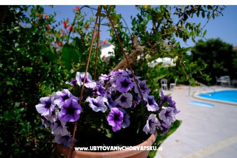 Pension Jeric – photo 5