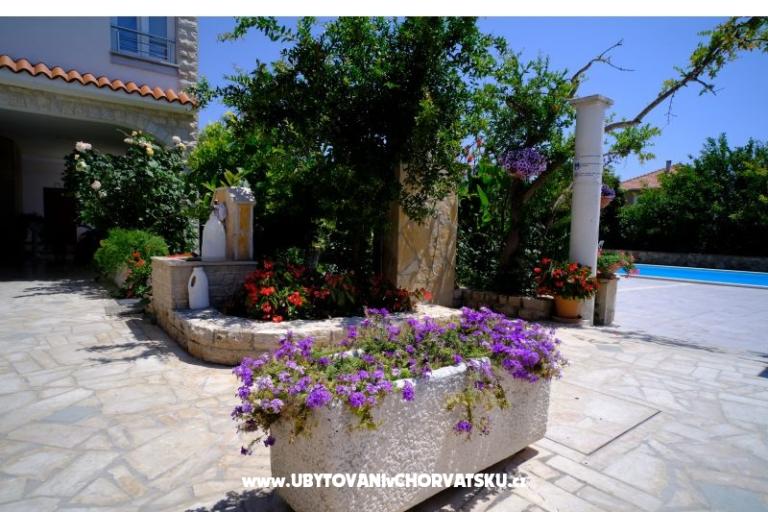 Pension Jeric – photo 7
