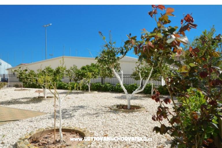 Simba Apartments – photo 3
