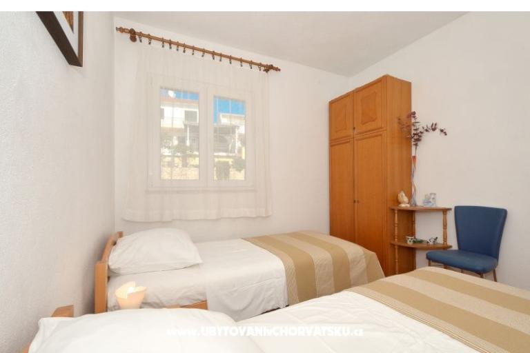 Solea – photo 16