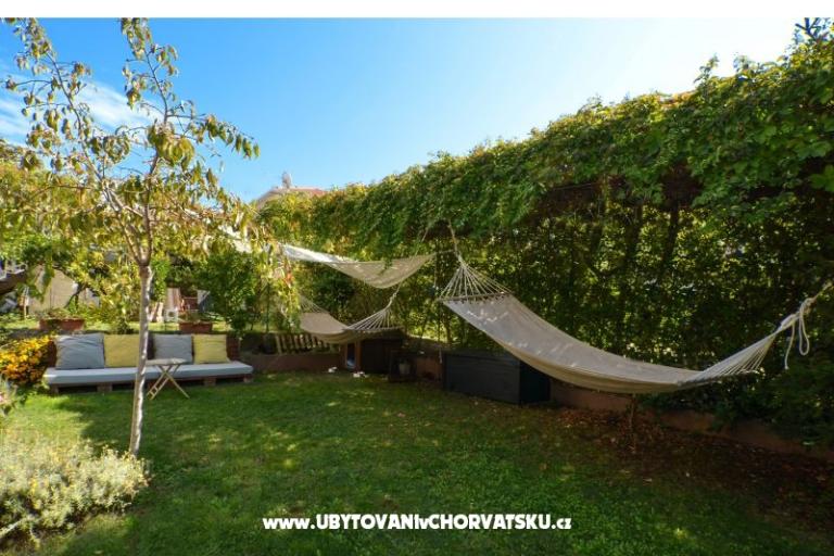 Tudija – photo 10